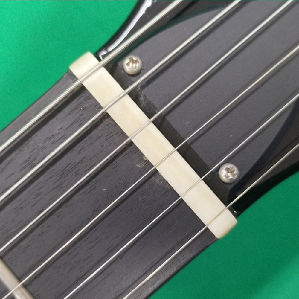 RYOGA CICADA-G2E Electric Guitar