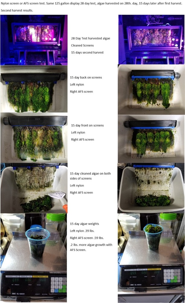 Algae Clean Scrubber Replacement WSR-S7 Algae Flex Screen.