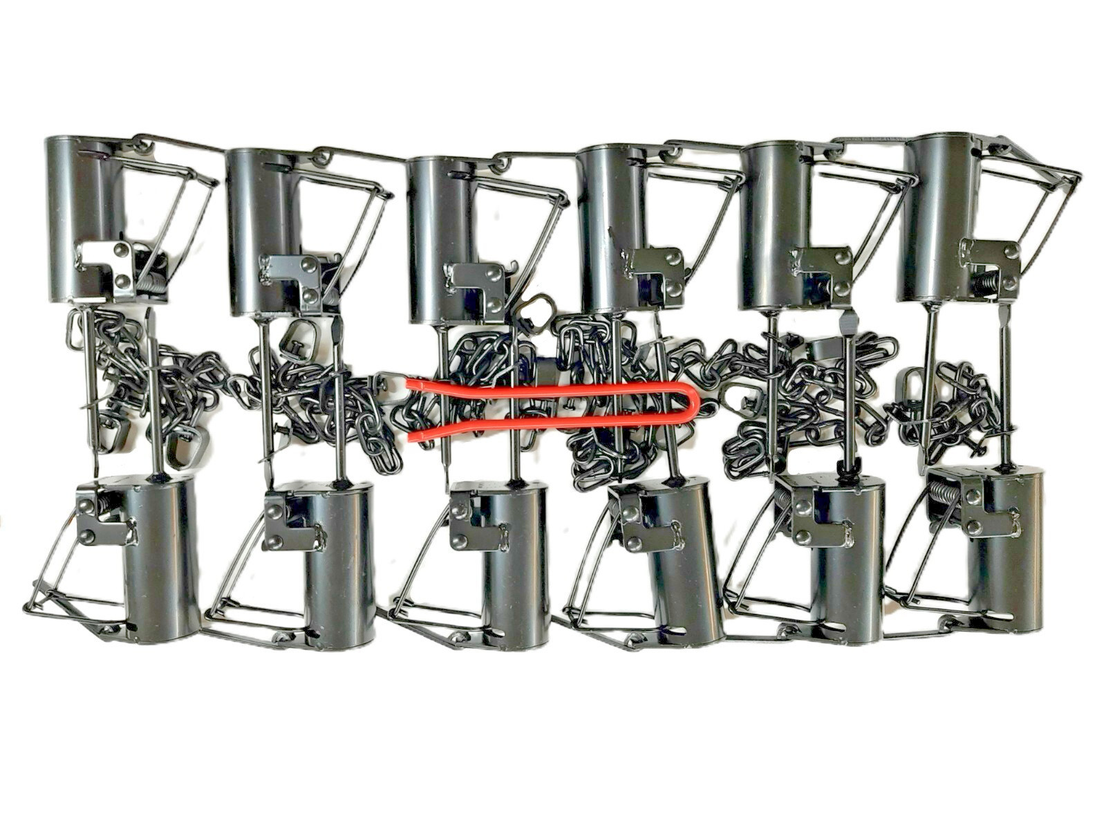 12, Brand New Cold Creek, Dog proof raccoon traps, coon, DP with setting tool