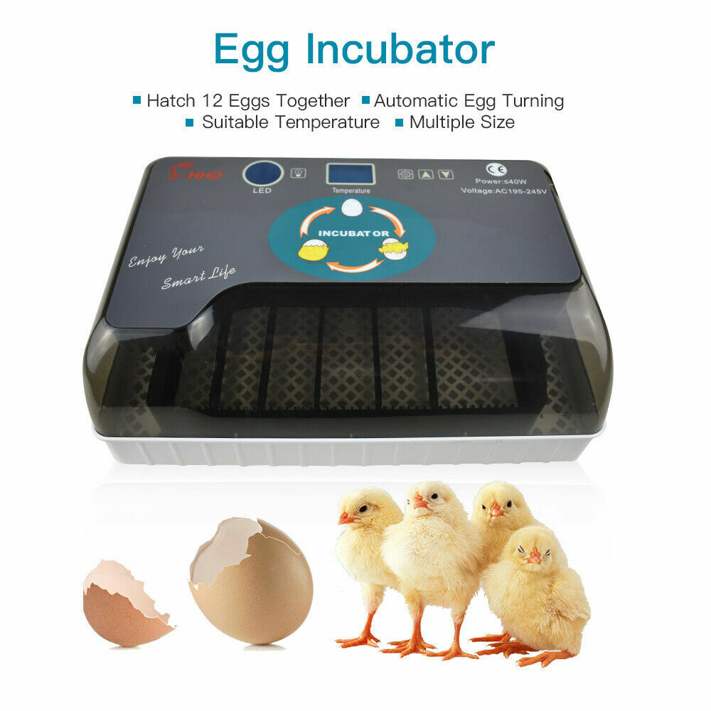 Incubator Automatic Digital Hatching 12 Eggs Mini Machine For Quail Chick Bird