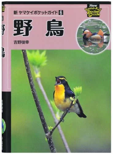 CASIO Ex-word electronic dictionary junior high school students learning model