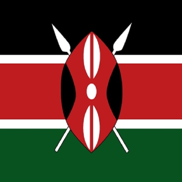 30 Custom Kenya Flag Personalized Address Labels