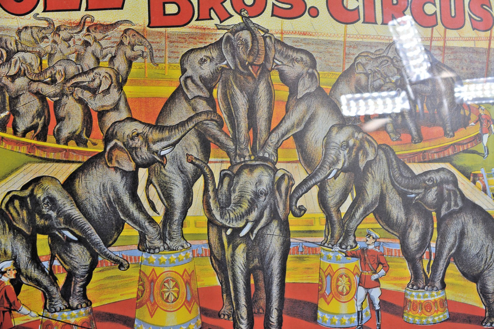 Cole Bros Circus Elephant Poster 1990s French Reproduction Professionally Framed