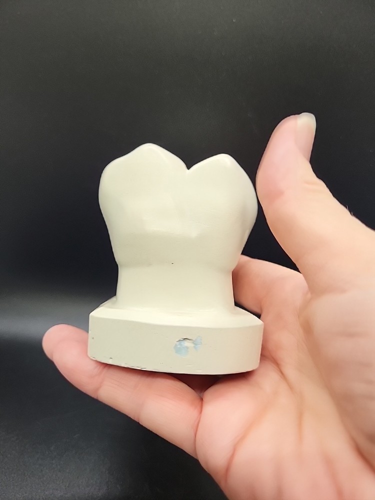 Two Weird Tooth Models 1970's