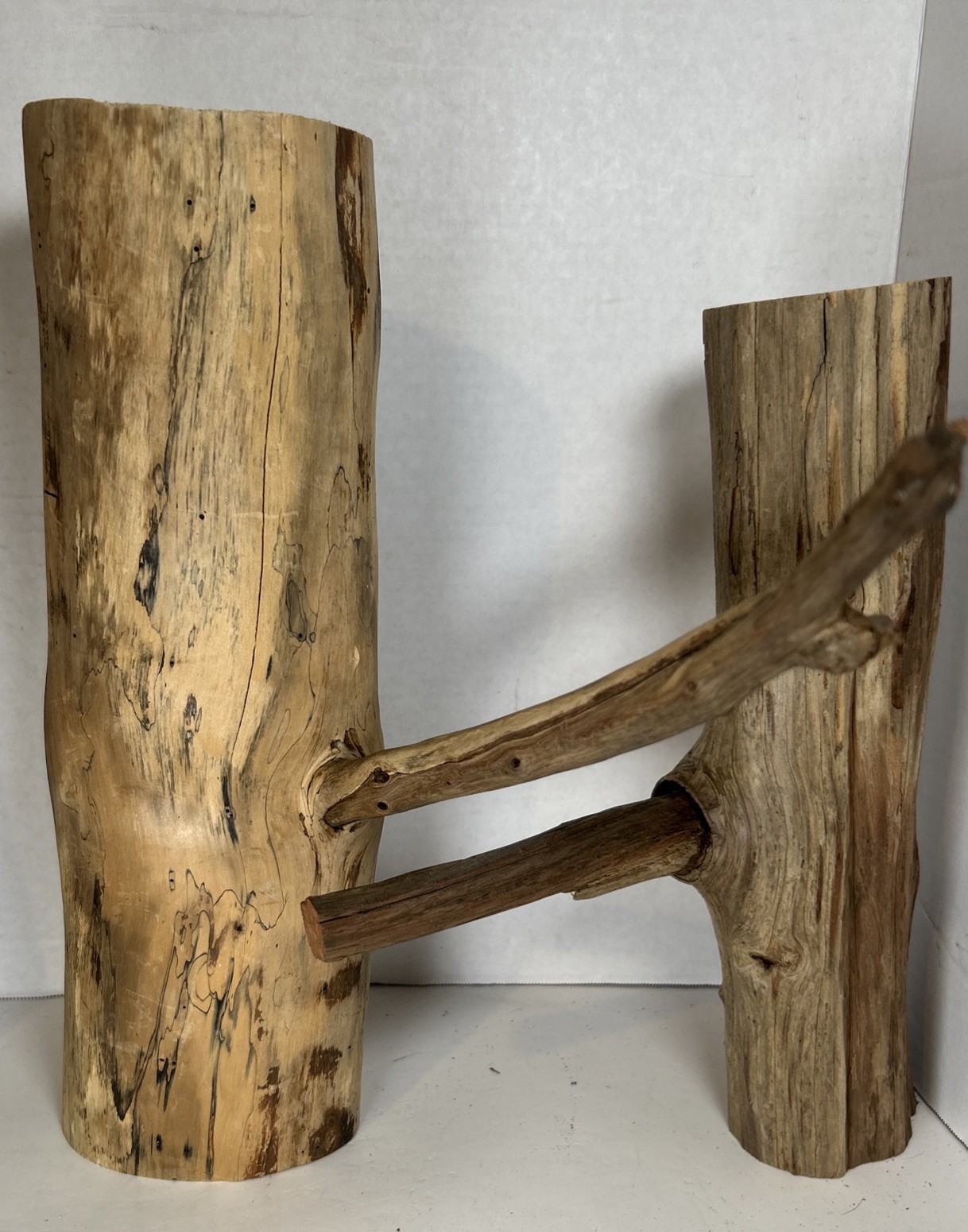 Driftwood¡ 2 Piece Set Cedar Taxidermy Beach Mountain Wedding 1 White Outside