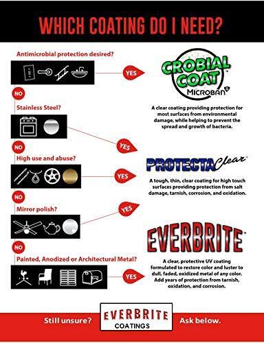 ProtectaClear 4 Oz. Clear, Protective Coating for Metal