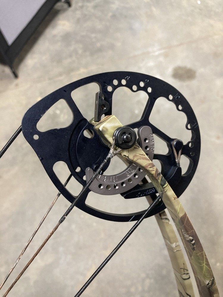 Bear Anarchy HC 50-60