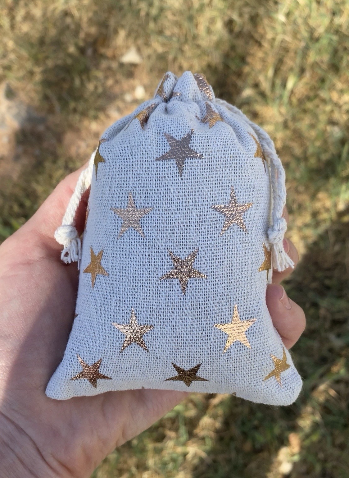 Crinoid Star Fossil Dig Bag