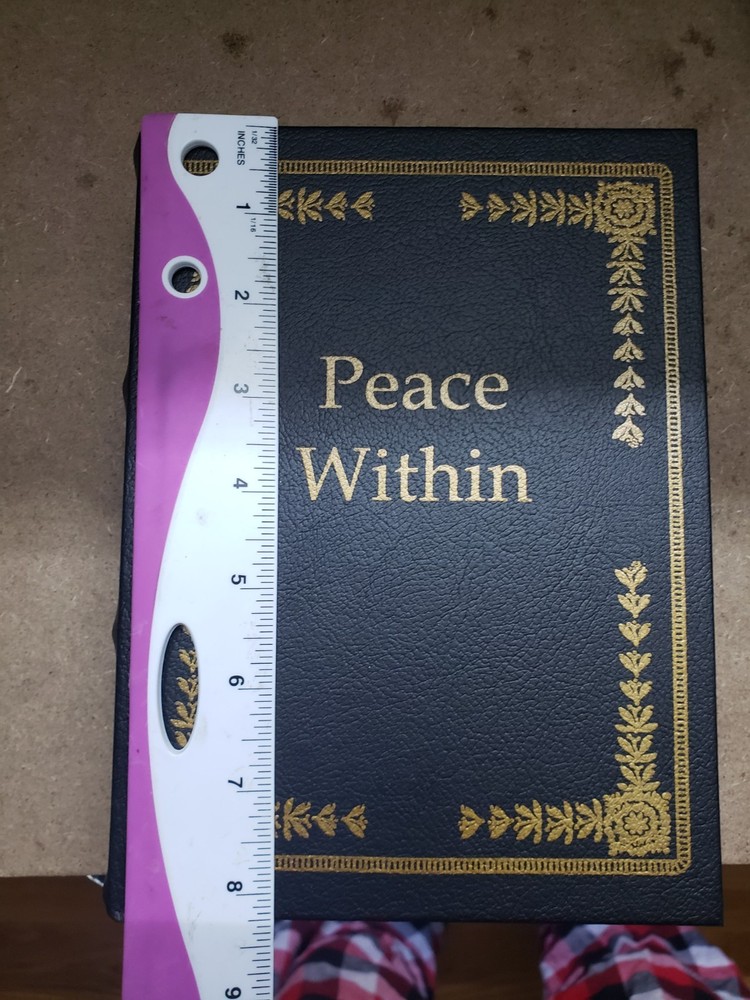 2 piece set Diversion Concealment Book Safe