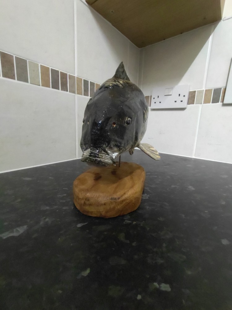 Carp Fishing, linear Carp statue
