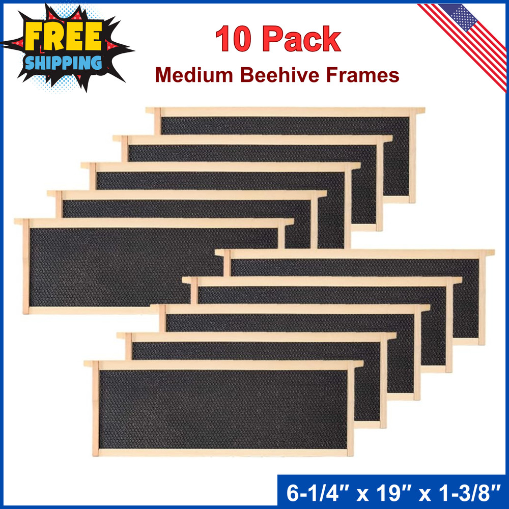 Beehive 10 Frame Add-On 10 Deep Replacement Frames Langstroth Beekeeping 6-1/4"