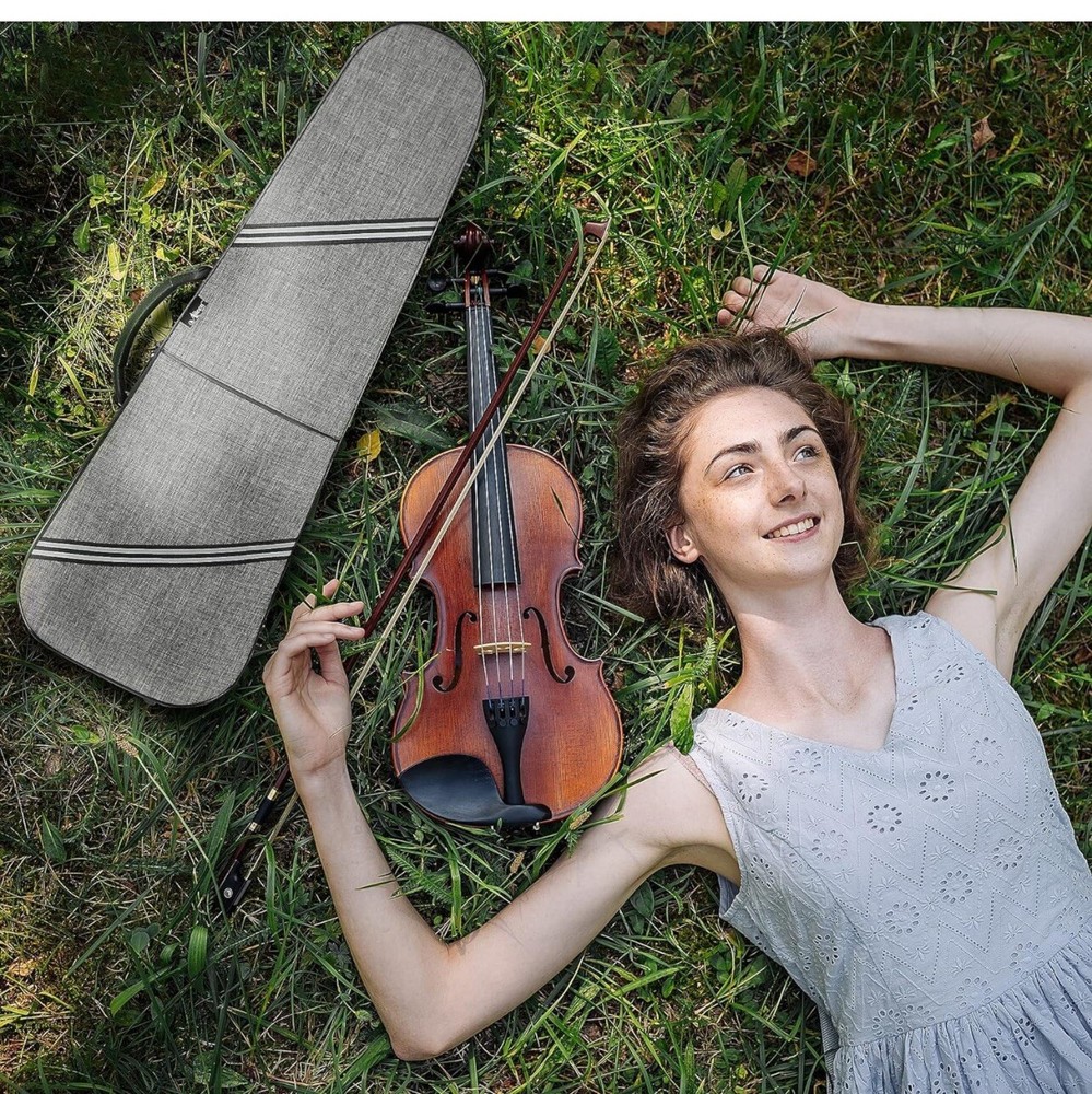 CSV502 Basic Professional 4/4 Full Size Violin Case Triangular Hard Shell Gray