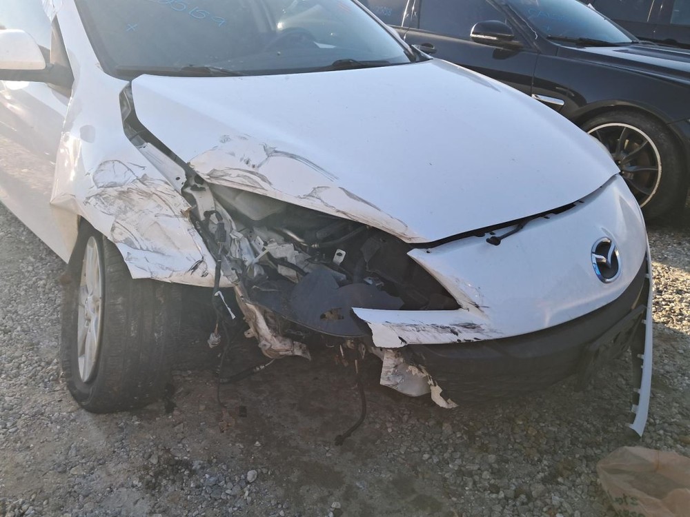 3 2010 Glove Box 4898048