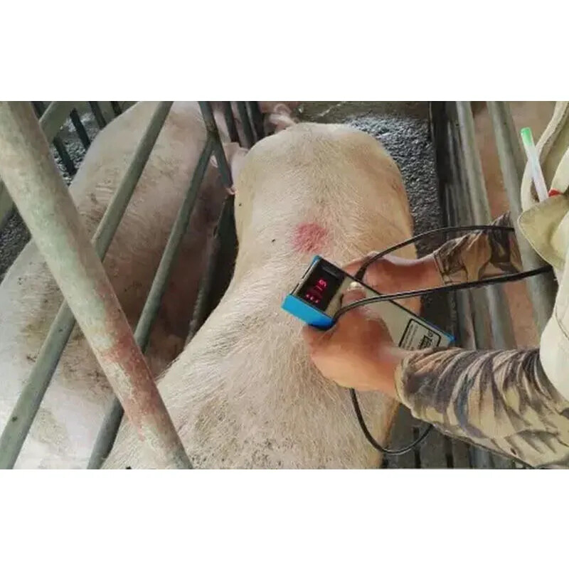 Pig Back Fat Detection Equipment Farm Animals Criterion Precise Detector