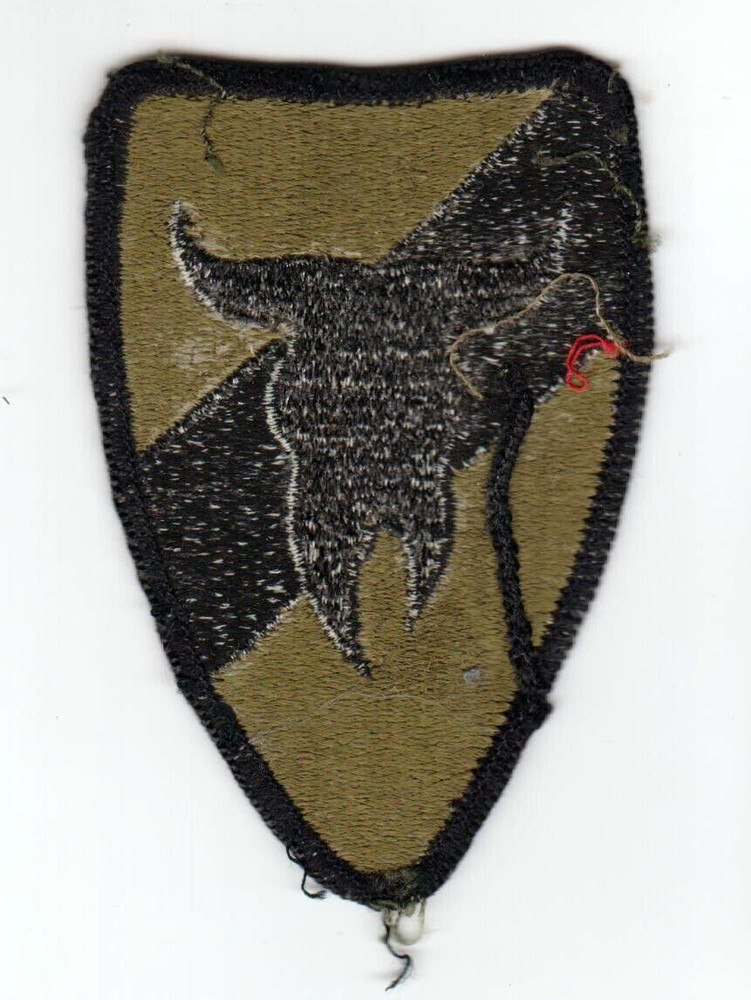 US ARMY 163rd ARMORED BRIGADE Olive/Drab Patch