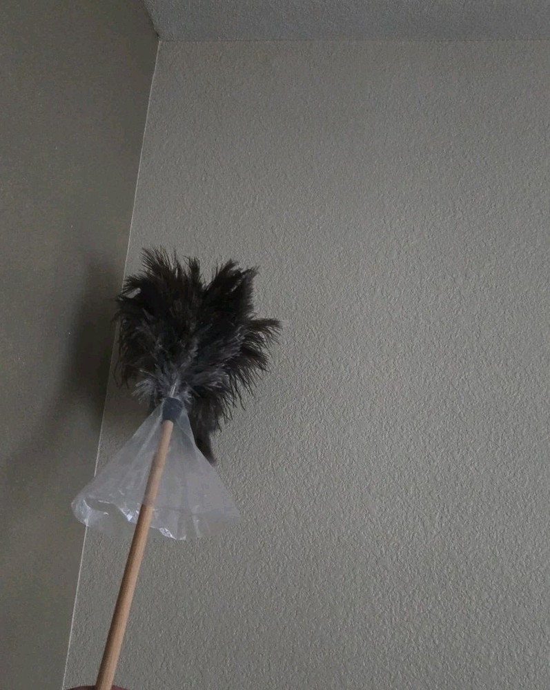 16 Inch Handle Ostrich Feather Duster