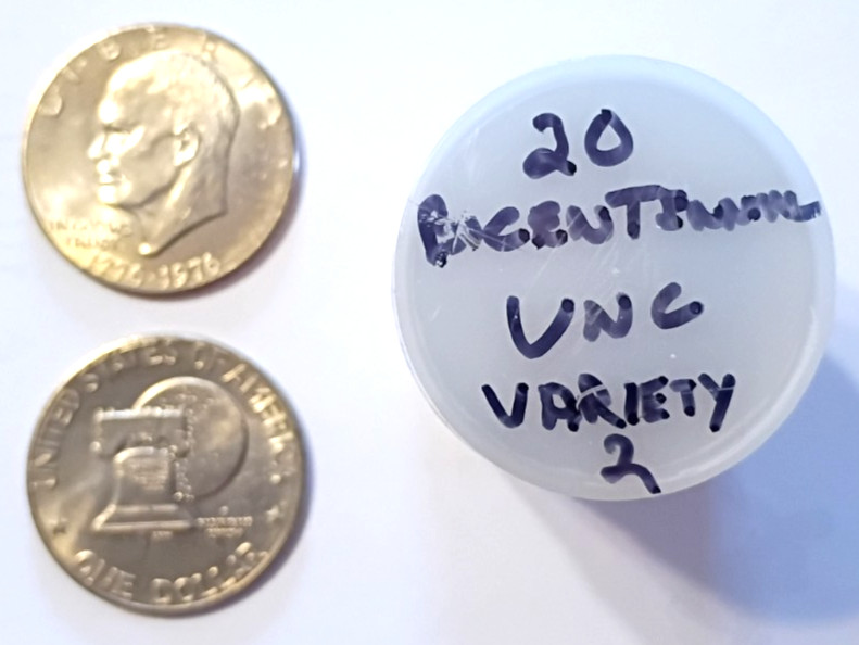 Roll uncirculated IKE bicentennial dollars (Type 2) (*REDUCED*)