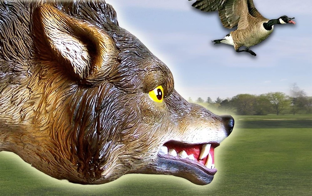 3D Lifelike Predator Decoy: Moving Tail & Realistic Features for Bird Control