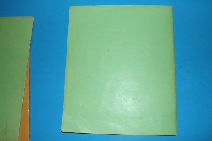 White Ace Mint Sheet File Capacity 14 pgs 1 pocket 12" x 9.75" BlueLakeStamps