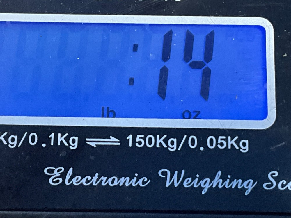 2009 - 2013 BME X5 E70 REAR VIEW CAMERA CONTROL MODULE OEM