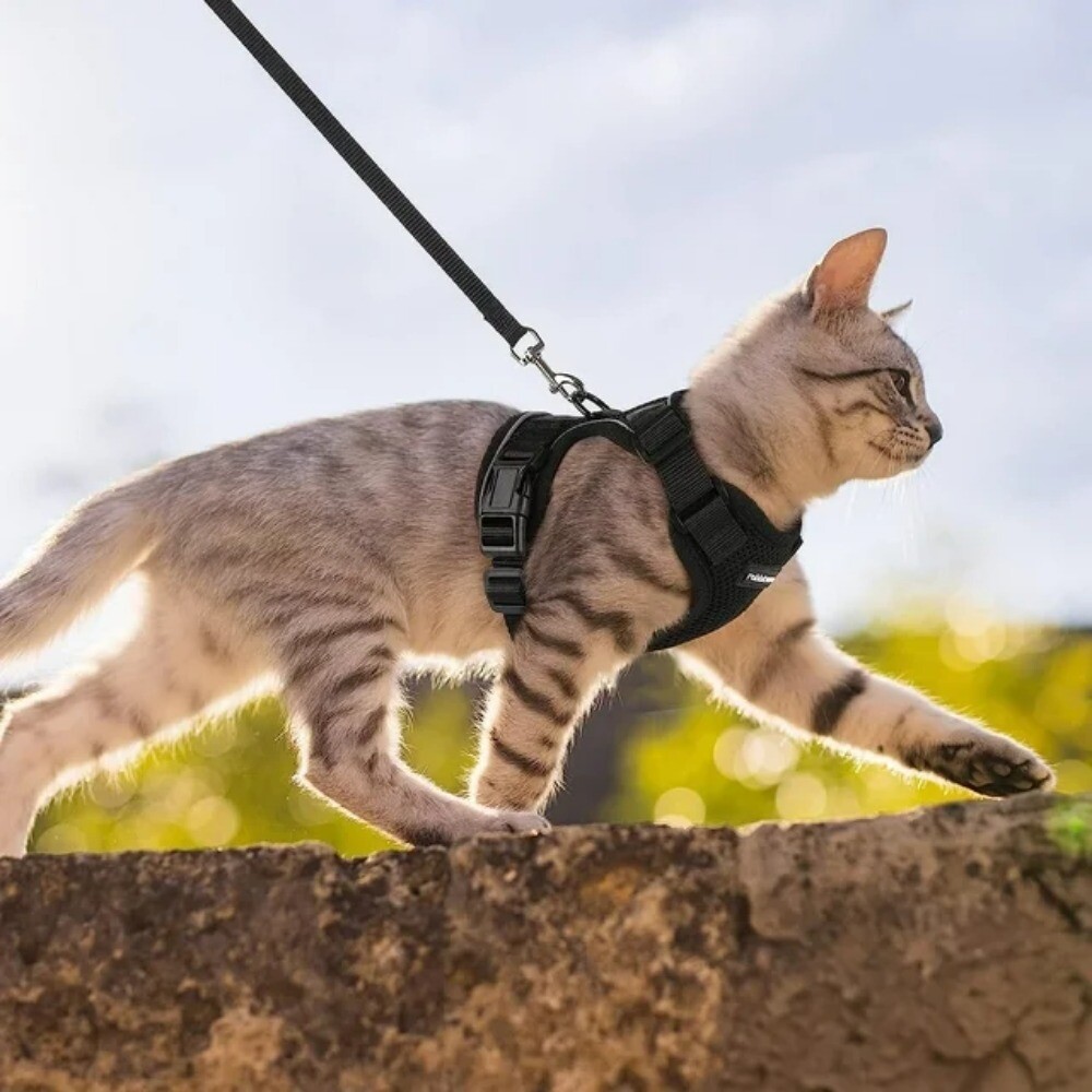 rabbitgoo Pet Cat Harness and 59" Leash Escape Proof Adjustable Vest for Cats