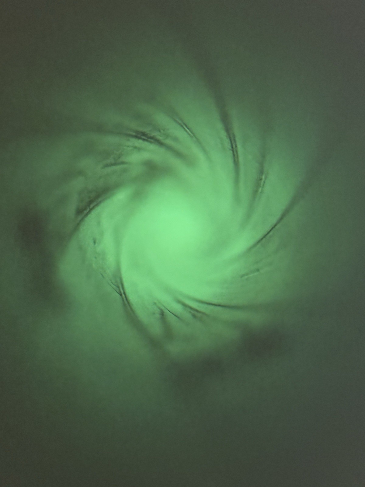 NICE Mossberg 835 12ga Rifled Slug 24" Ventilated Barrel With Cantilever Mount