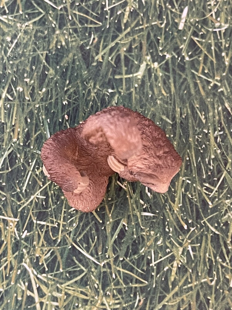 Schleich Sloth 2016 14793