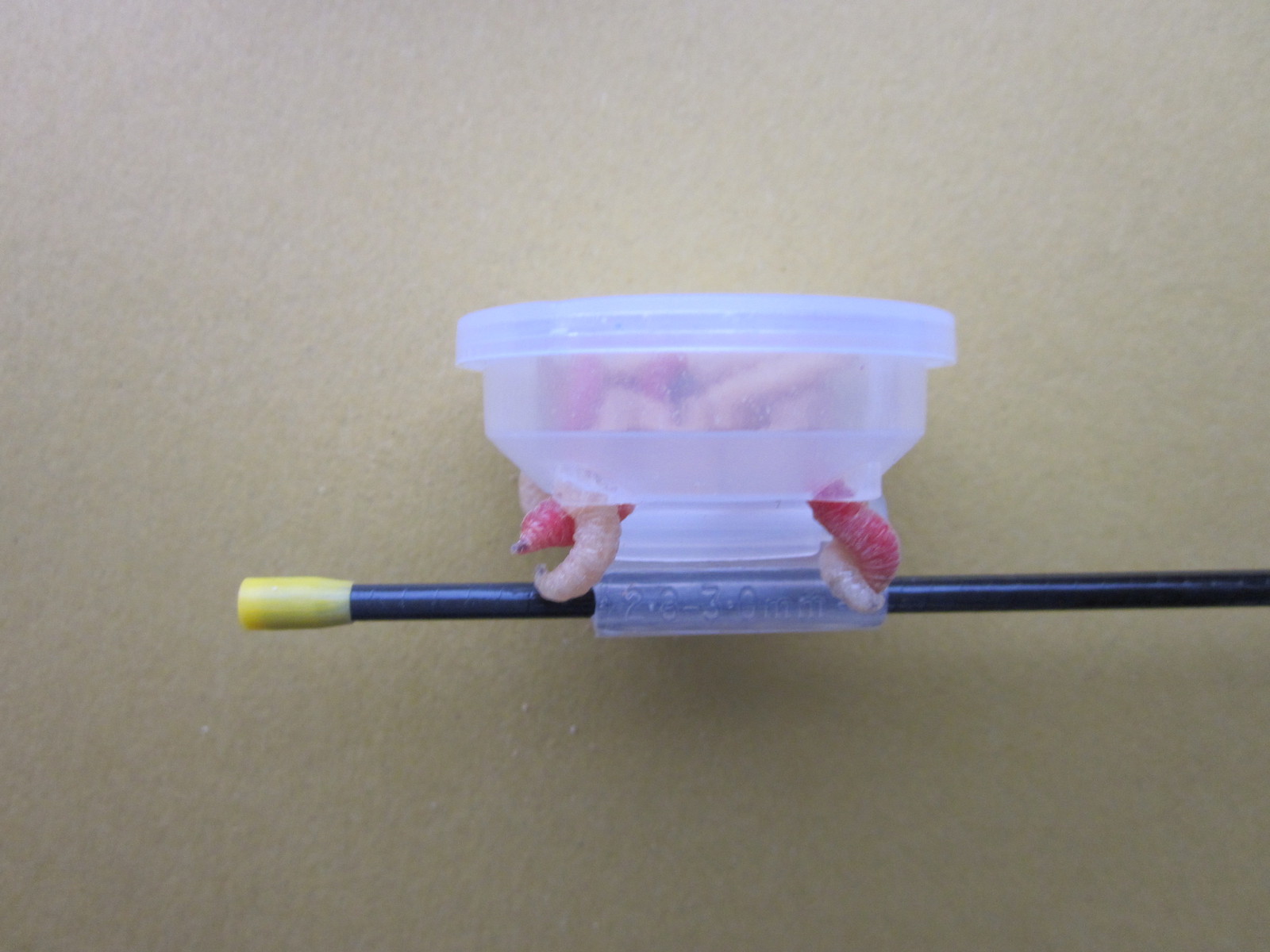 Medusa Pole Pots 6 Different Size Cups + 8 Different Size Adaptors Full System