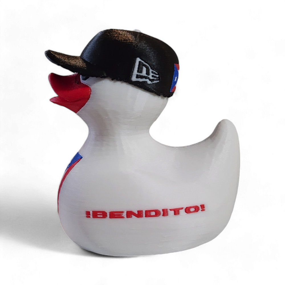 Puerto Rico Duck