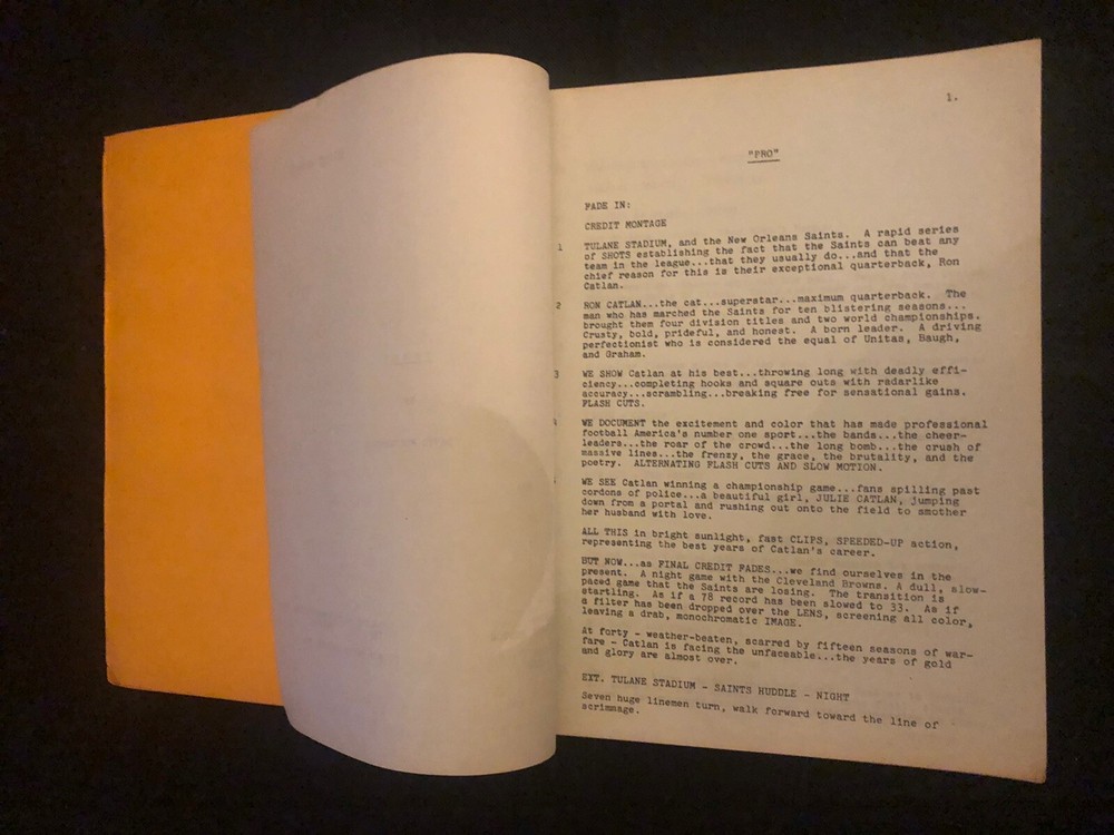 "PRO" VINTAGE MOVIE SCRIPT by David Moessinger [Vintage]