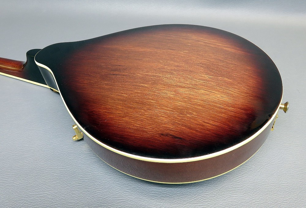 Mandolin Vester