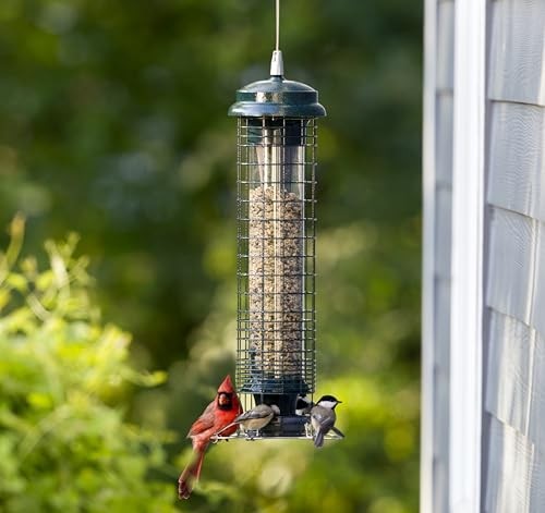 Squirrel Solution 150 Squirrel-Proof Bird Feeder for Wild Birds – 4 Stainless