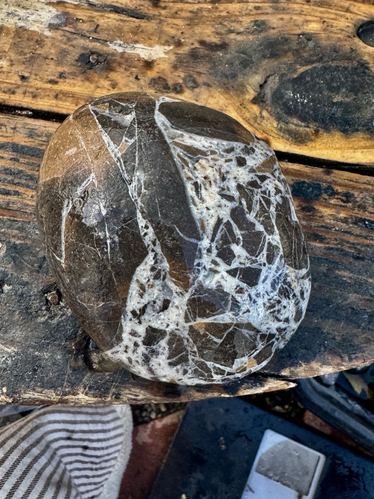 Rocks For Sale Beautiful Matrix Conglomeration Stone Rough Unpolished