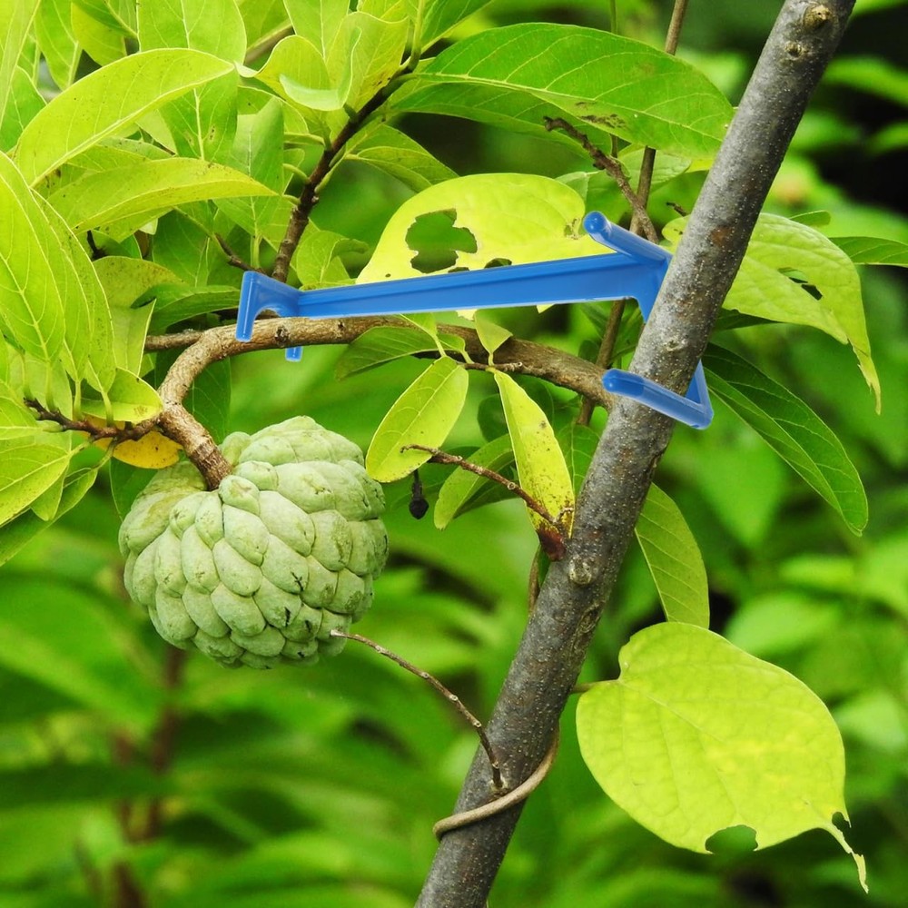 Fruit Tree Branch Spreader Set Adjustable Plastic Limb Support Gardening