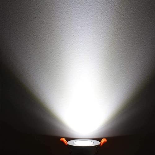 2inch LED Dimmable Downlight, 3W COB Silver Trim - 10Pack Daylight White