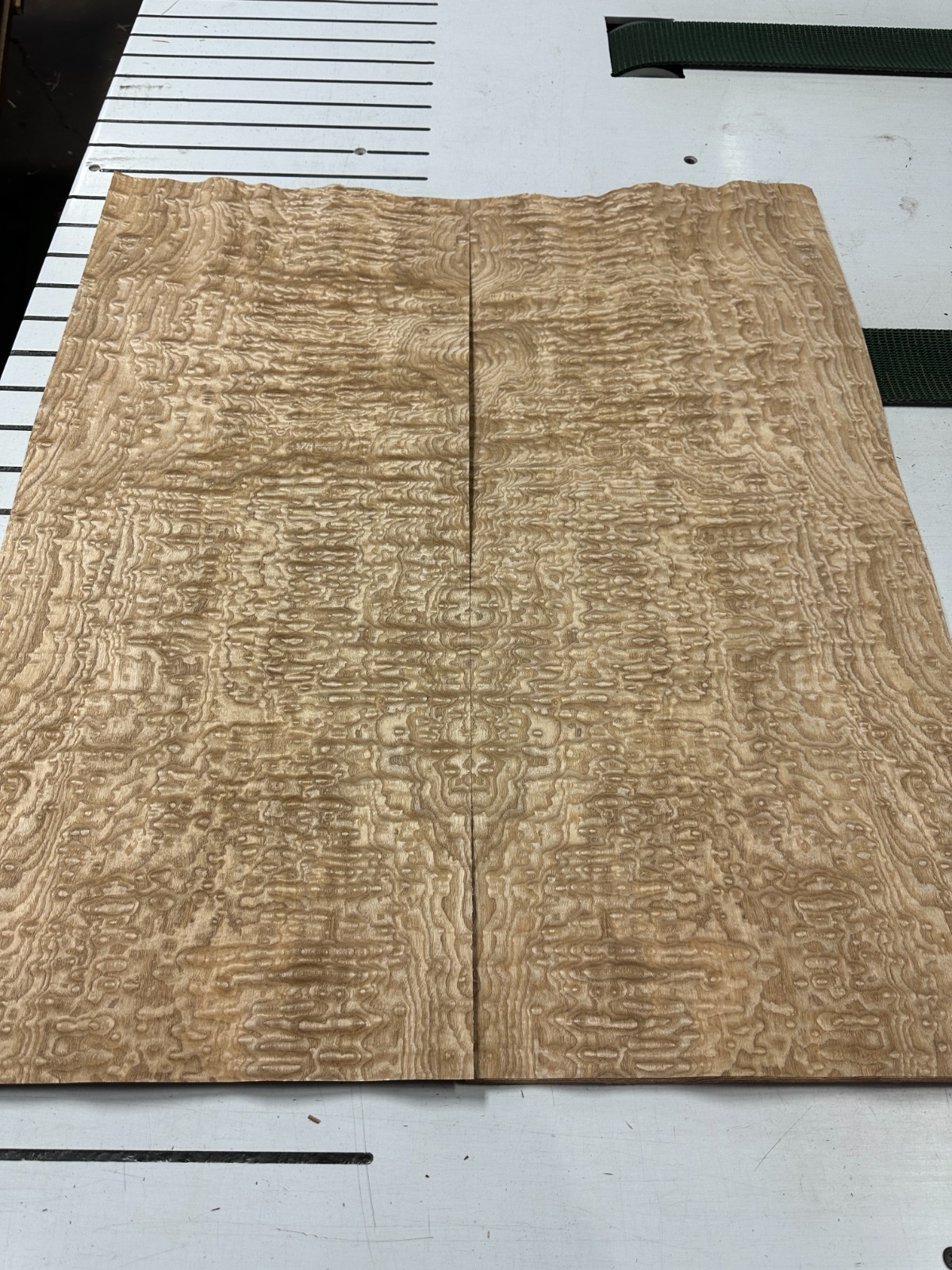 Tamo Ash Raw Wood Veneer 2 sheets 35'' x 15'' 319V