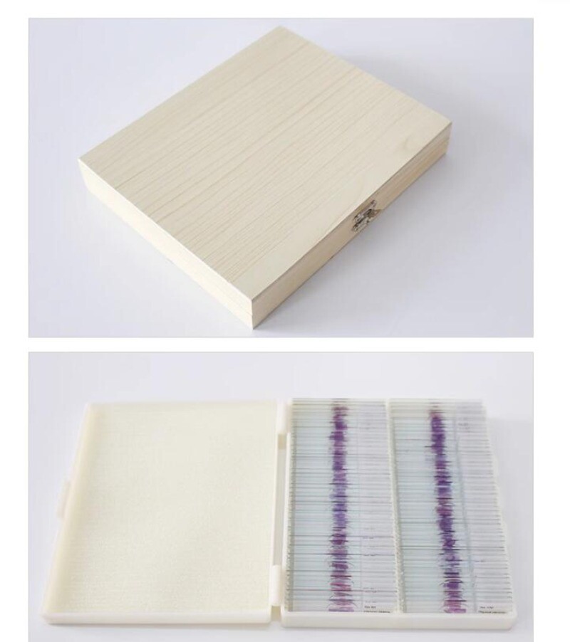 100PCS Mammal Pathological Section Typical Prepared Specimen Slides