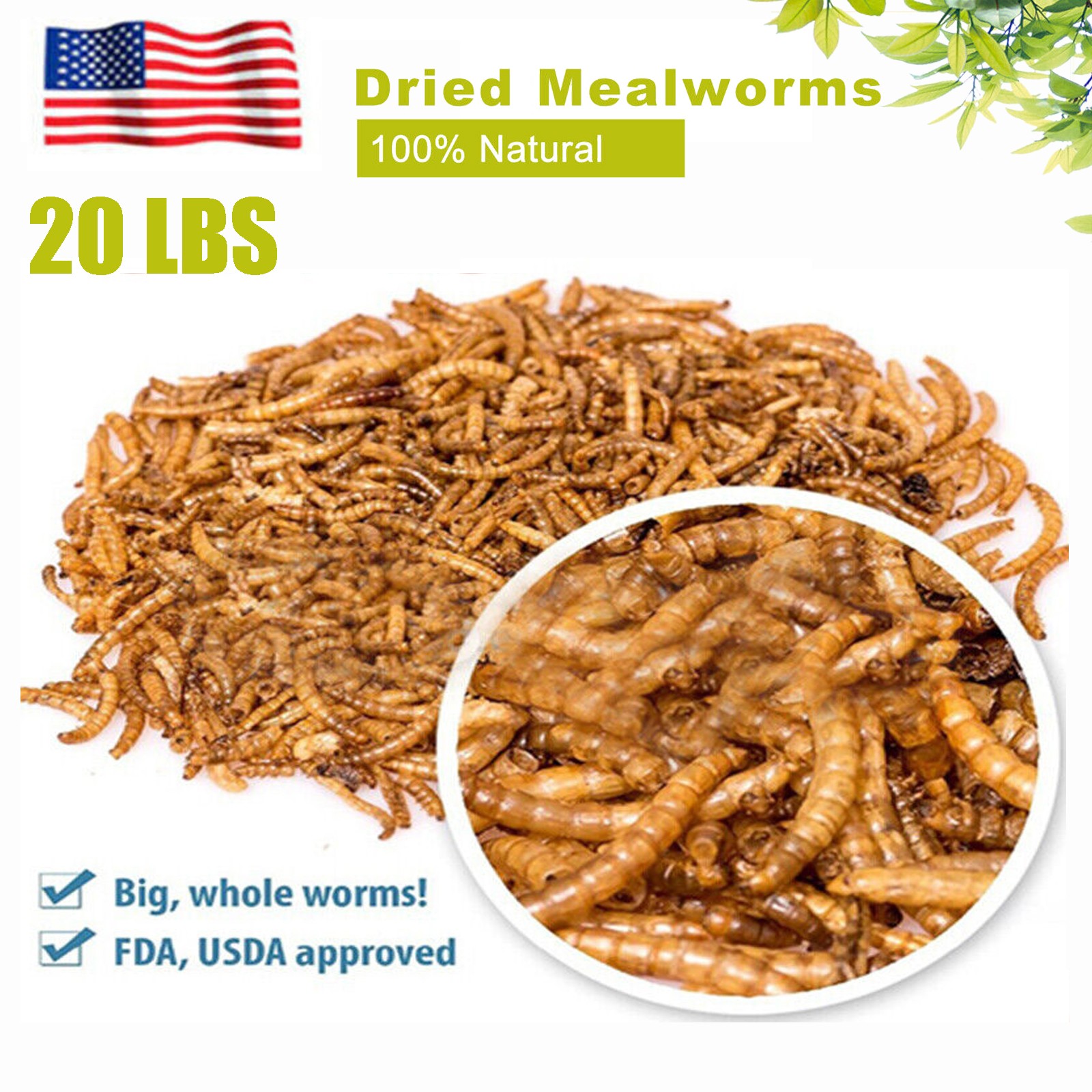 20 lbs Bulk Dried Mealworms NON GMO Organic For Fish Bluebirds Chickens Gliders