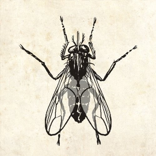 Chubby Checker The Fly (CD)