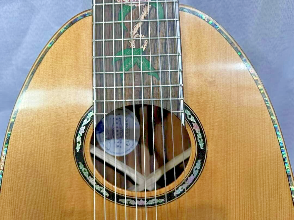 Blueberry Handmade Ten String Classical Nylon String Guitar Built to Order