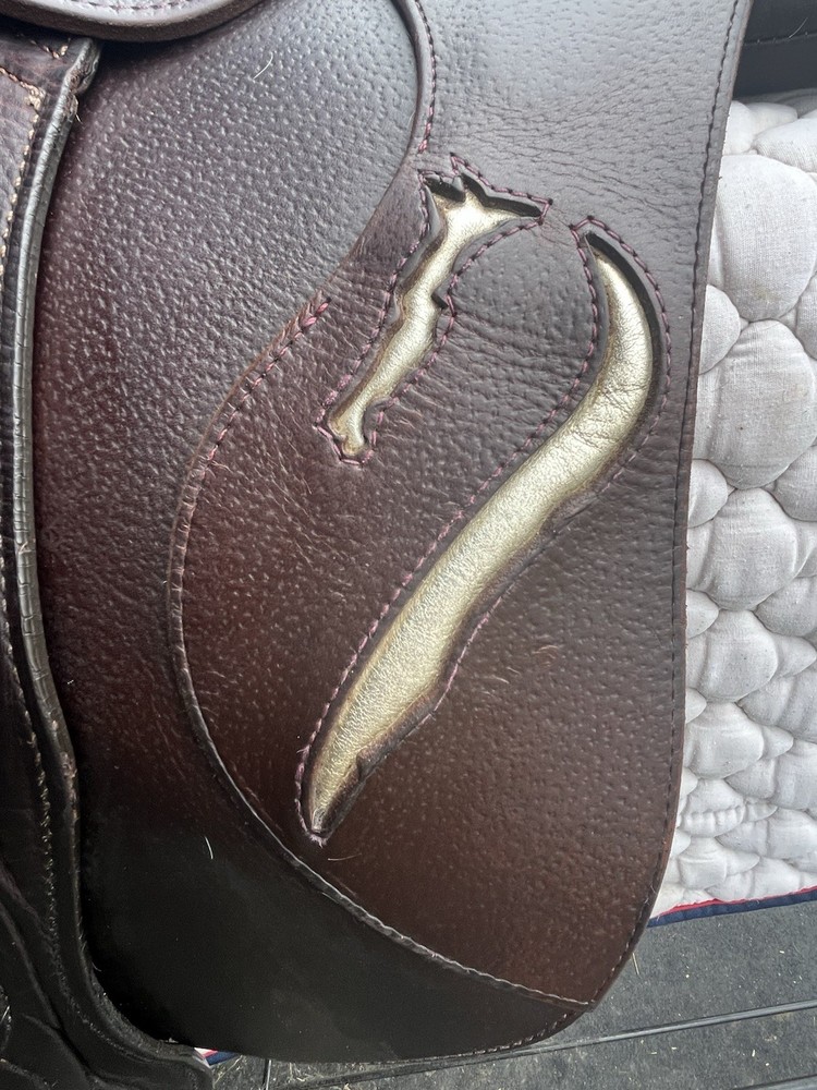 2023 Antares Evolution 16.5 Saddle