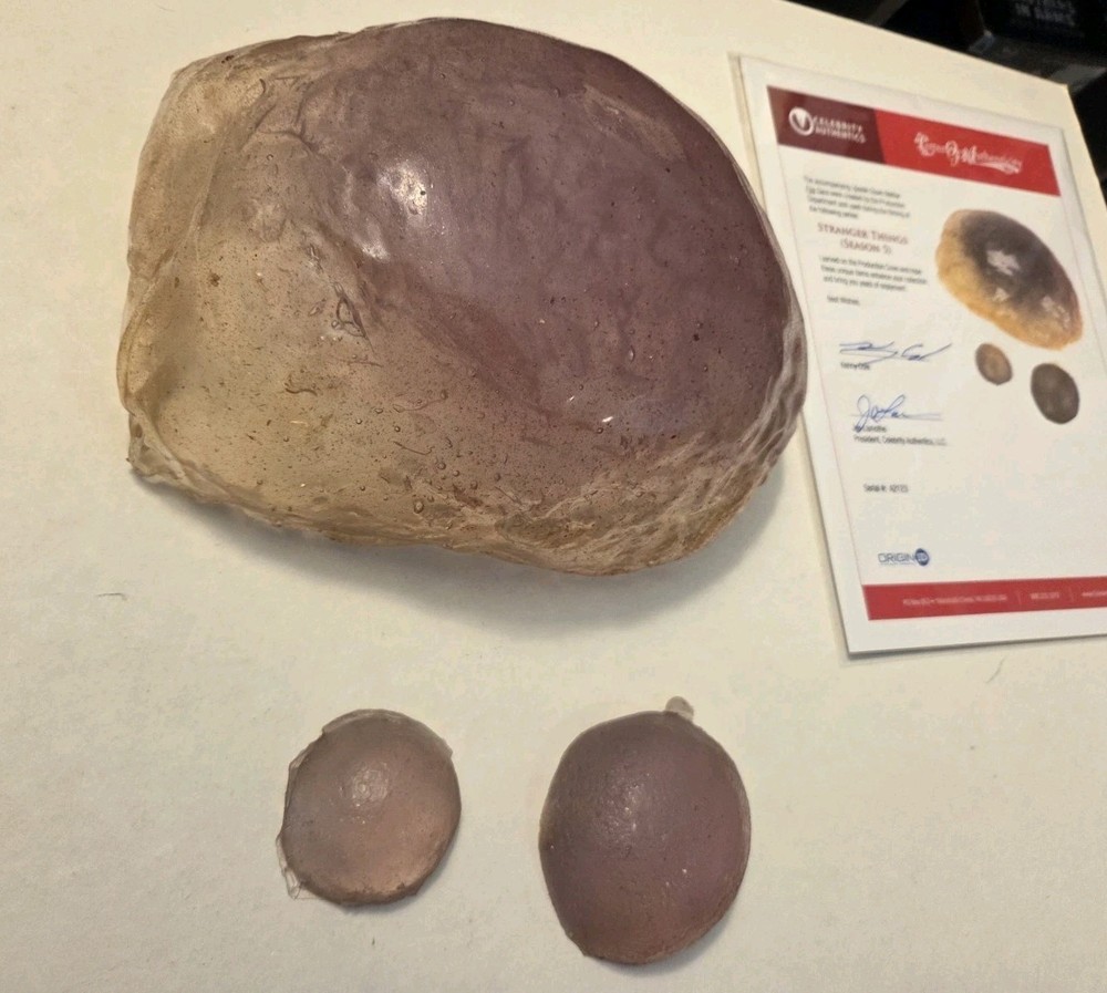 Stranger Things S5 Production Used Upside Down Vecna Cavern set (Original Prop)