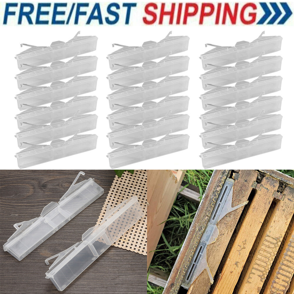 6/18PCS Small Bee Hive Beetle Blaster BeeHive Trap Beekeeping Tool Plastic USAA#