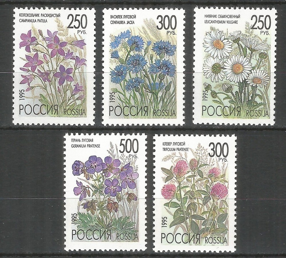 Russia 1995 stamps mint MNH - flowers