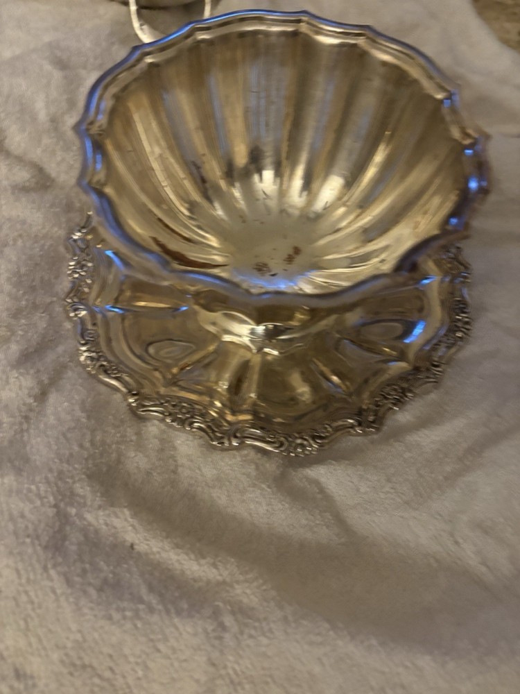 Beautiful silver platers