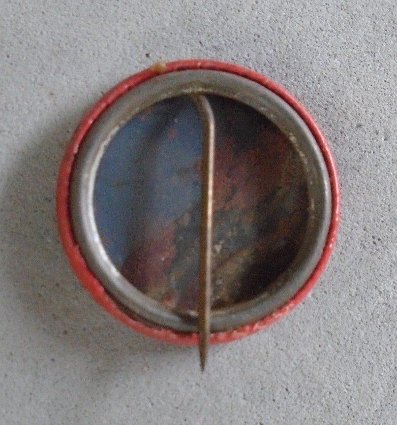 Fight for Freedom pin back