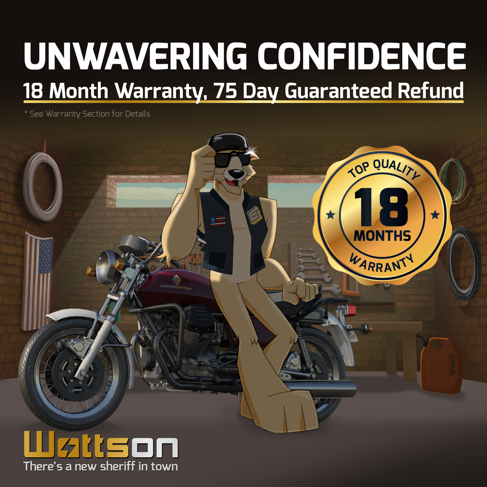 YTX14-BS Chrome Pro Series High Performance iGel Powersport Battery