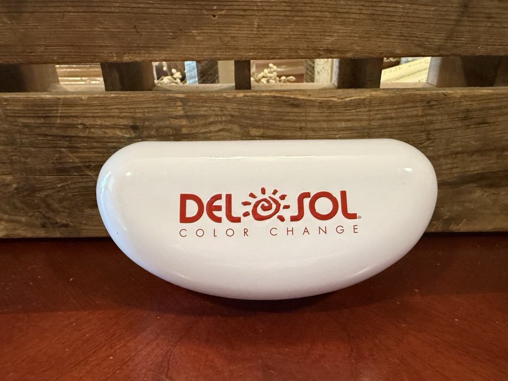 DEL SOL GLASSES CASE