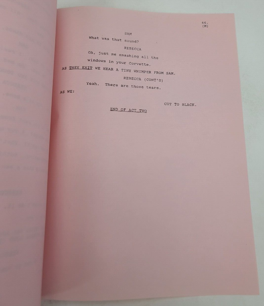 CHEERS / Cheri Eichen 1991 TV Script, Robert Machray "Cheers Has Chili"