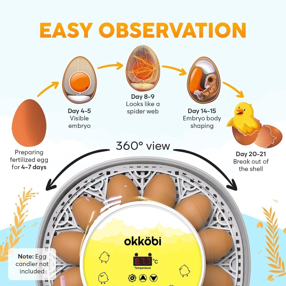Okkobi M12 Automatic Egg Incubator - Precise Temp & Humidity Control, 12-24 Eggs